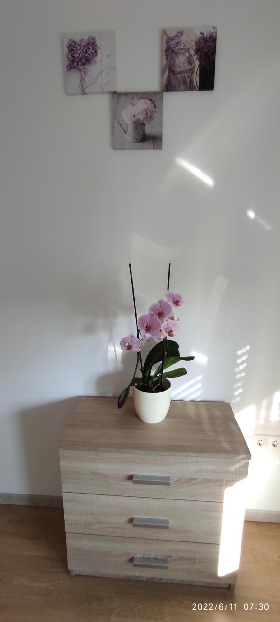 Apartment Zelena Oaza Sisan 75 M2 - 2 Bedrooms Luaran gambar